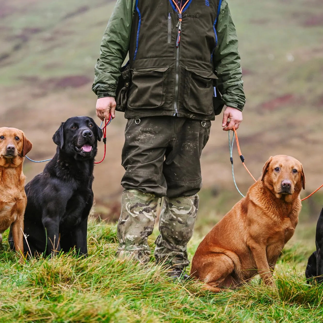 Dog Leads The Gundog Catalogue