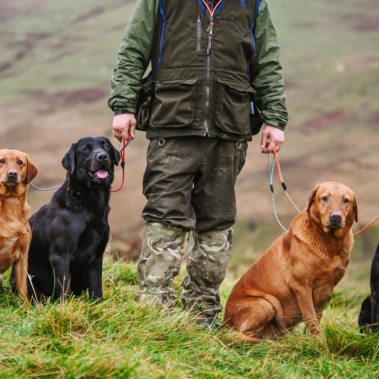 Dog Leads