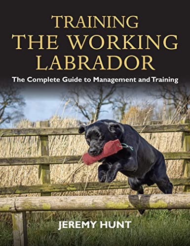 Clearance-Training the Working Labrador by Jeremy Hunt-Book