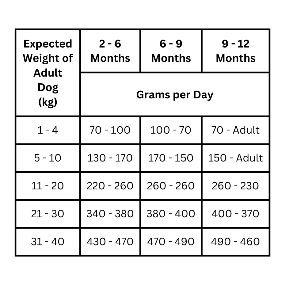 All Life Stages Grain Free Grass Fed Angus Beef-Dry Dog Food