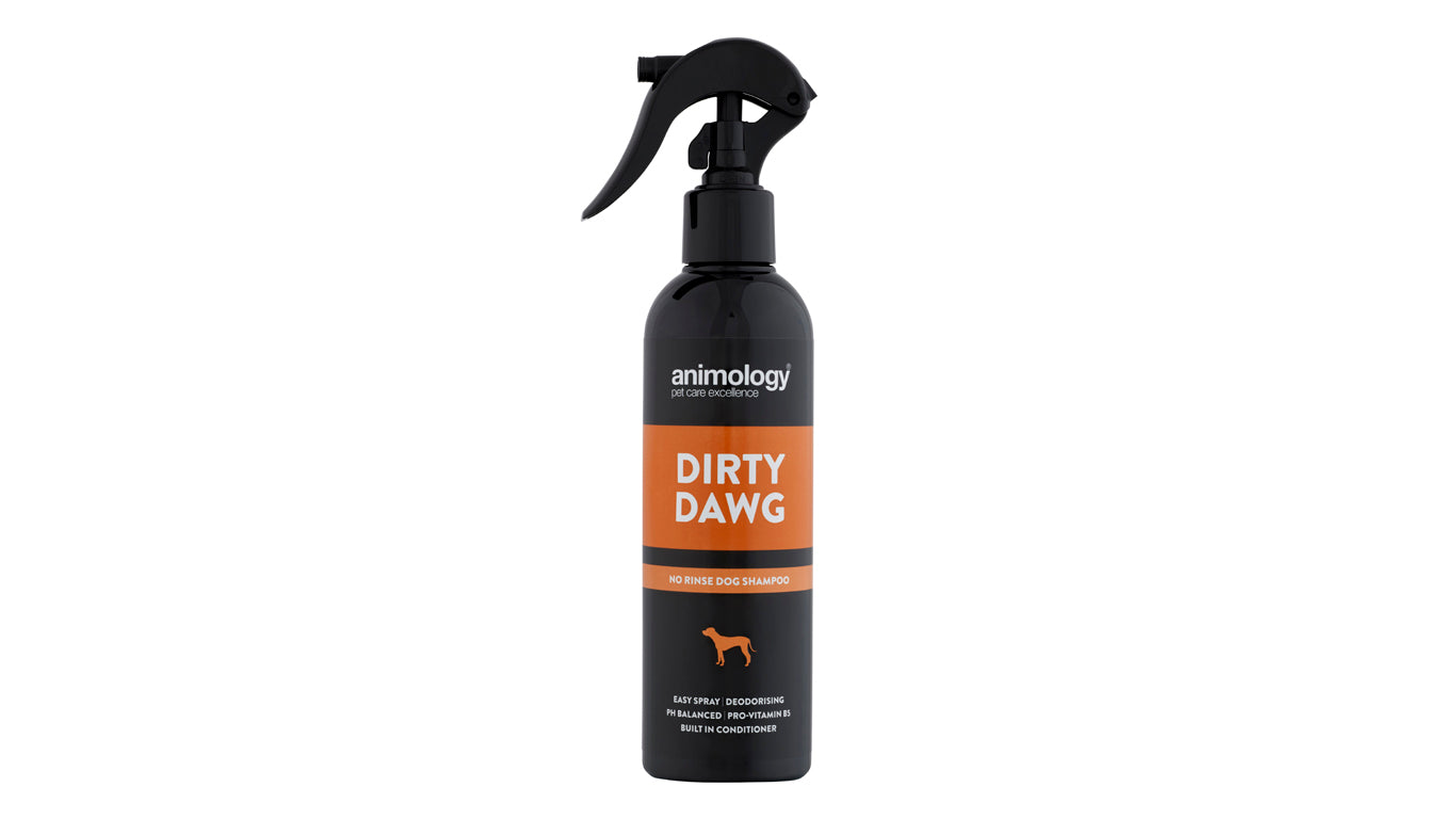Spray Dirty Dawg No Rinse Shampoo 250ml by Animology