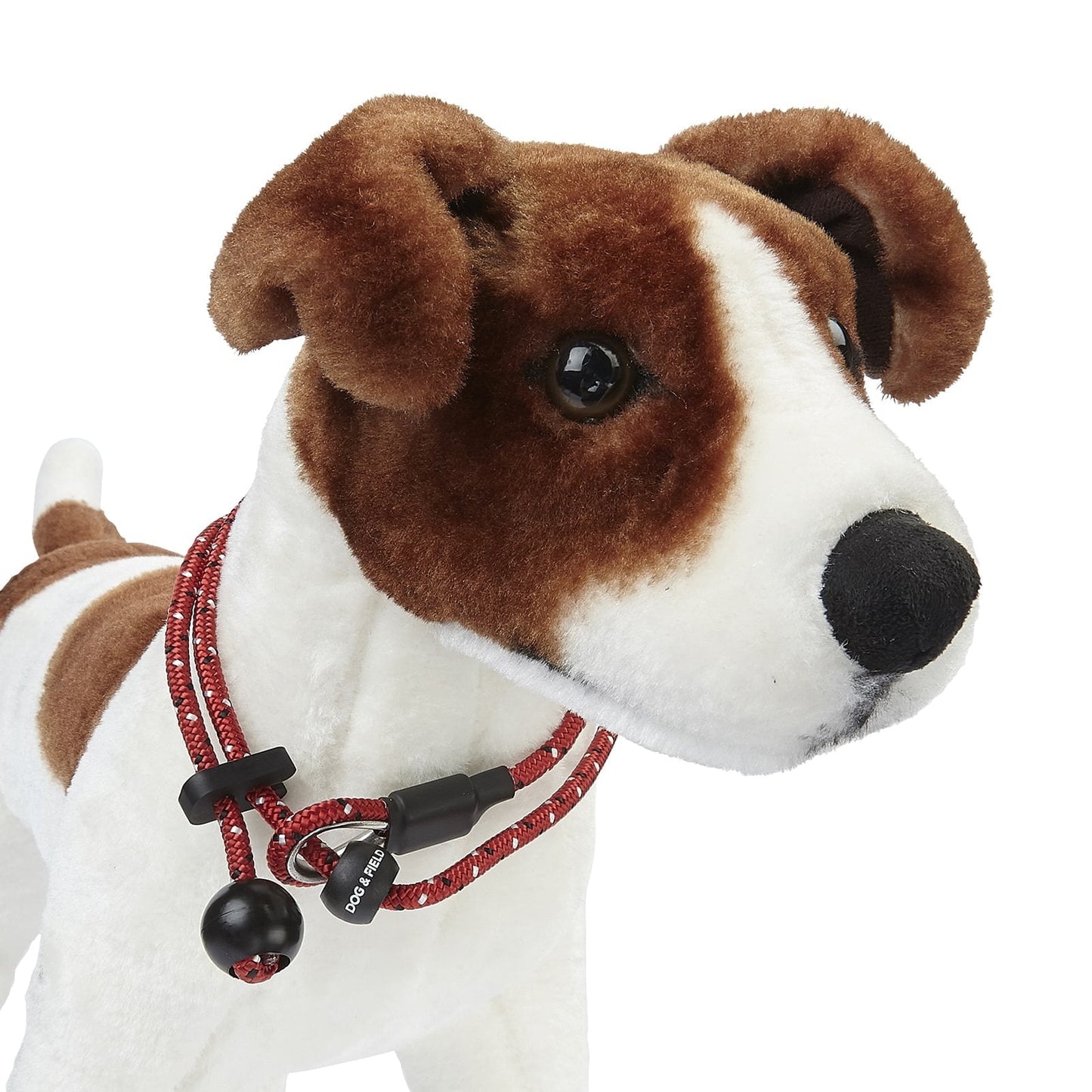 Pro Trainer Heeling Lead