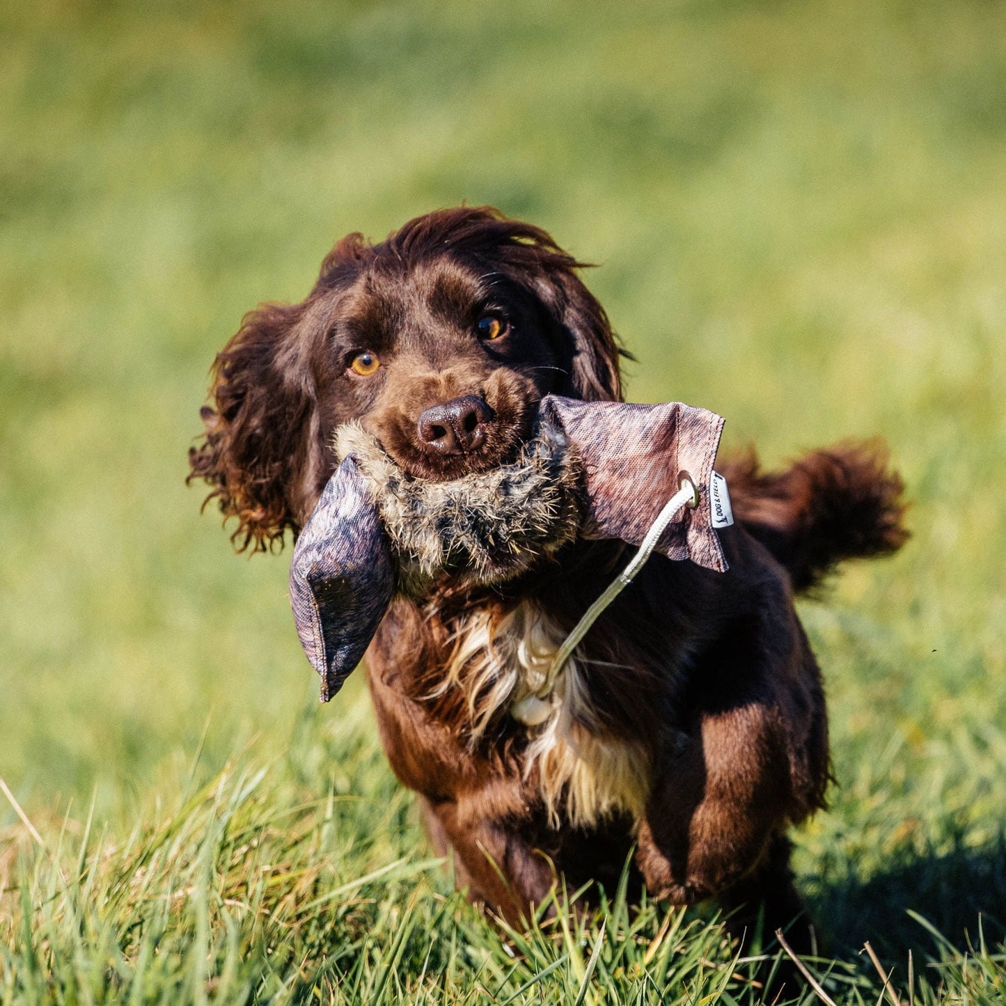 Rabbit Fur Large Clone Dummy
