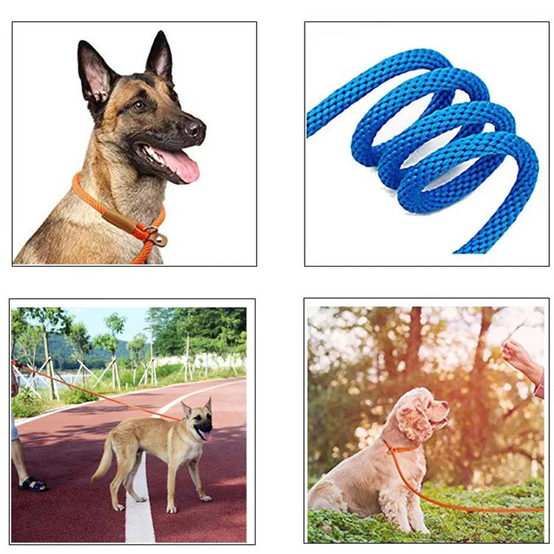 Dog Slip Lead-Woven Pro