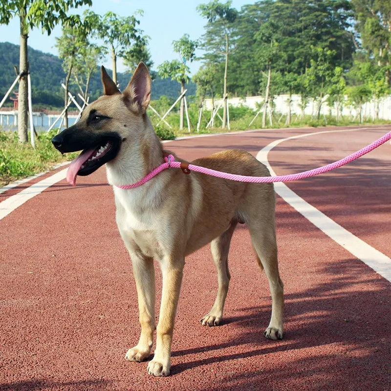 Dog Slip Lead-Woven Pro
