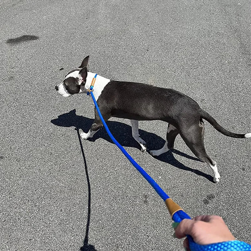 Dog Slip Lead-Woven Pro