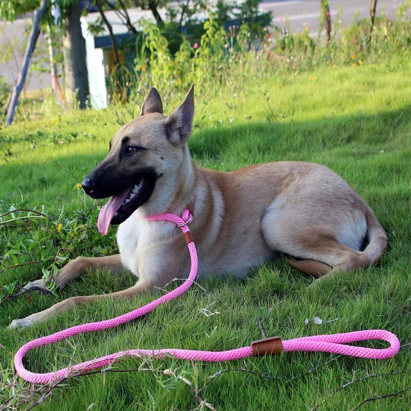 Dog Slip Lead-Woven Pro