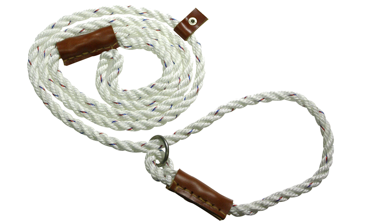 Field Trial Lead by Bisley