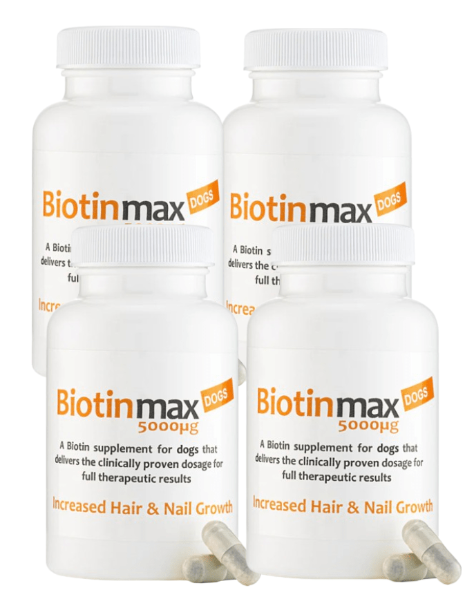 BiotinMax