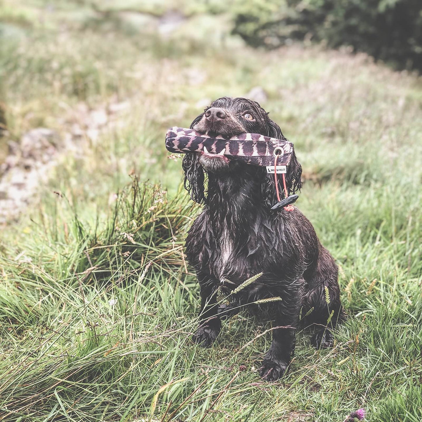 Snipe 100g Training Dummy