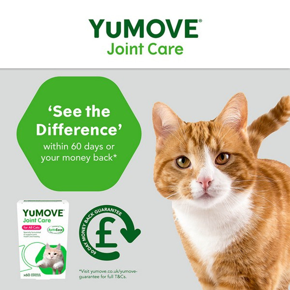 YuMOVE Joint Care for All Cats | 60 pack