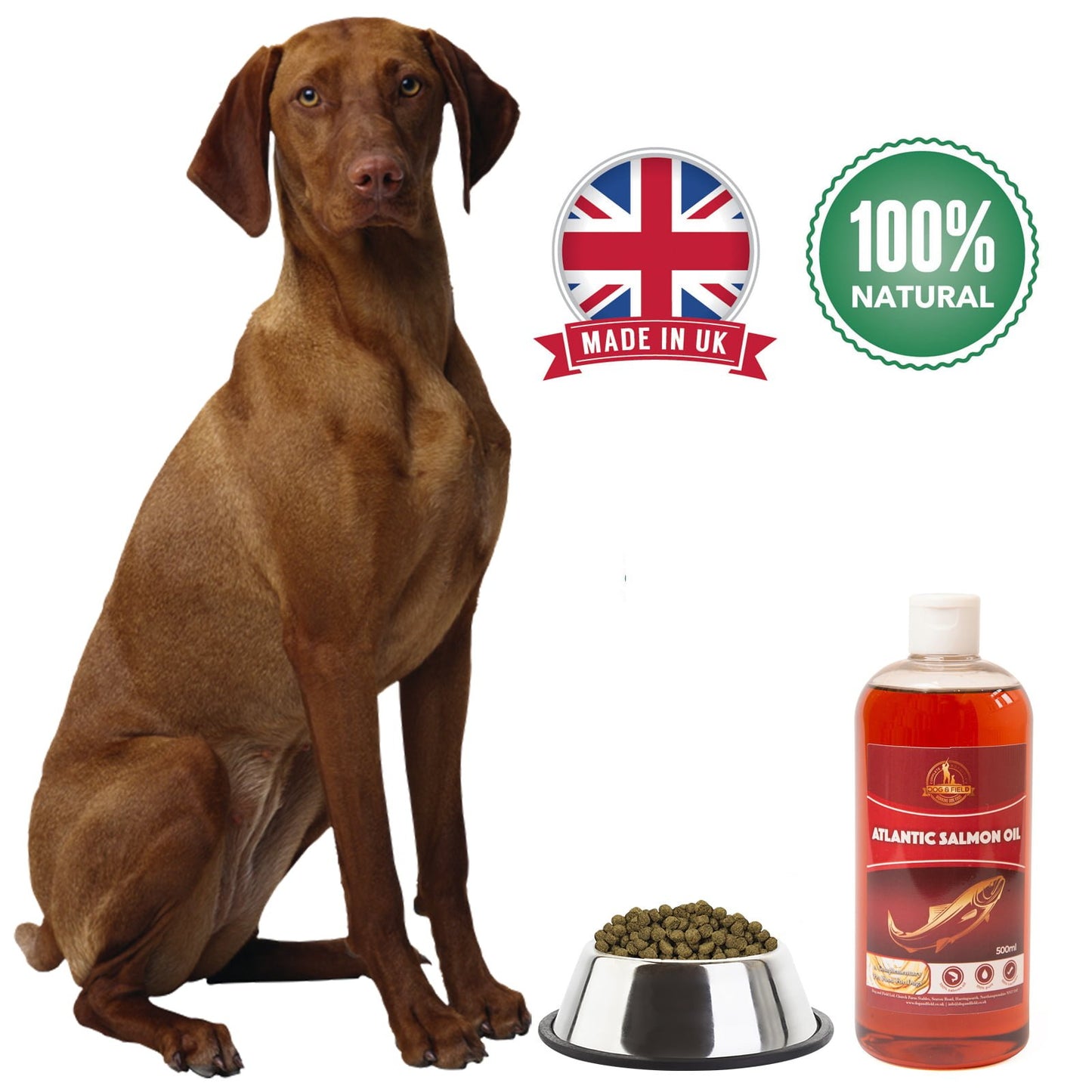 Atlantic Salmon Oil