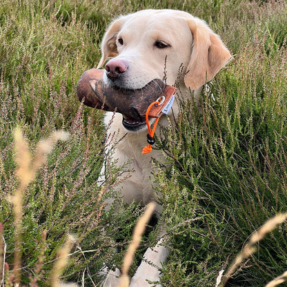 Grouse 1/2lb Dummy