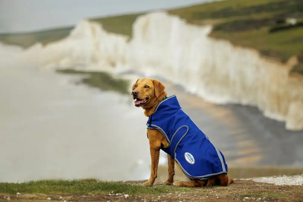 Gundog clothing online