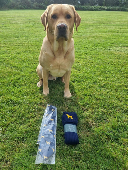 Buckminster Golden Labrador Socks