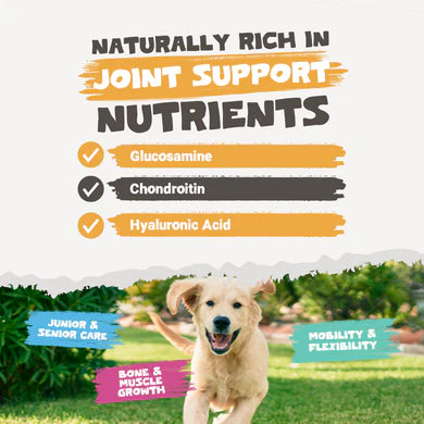 Chicken Bone Broth Powder | 250g