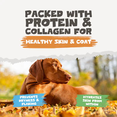 Chicken Bone Broth Powder | 250g