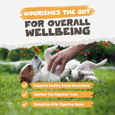 Chicken Bone Broth Powder | 250g