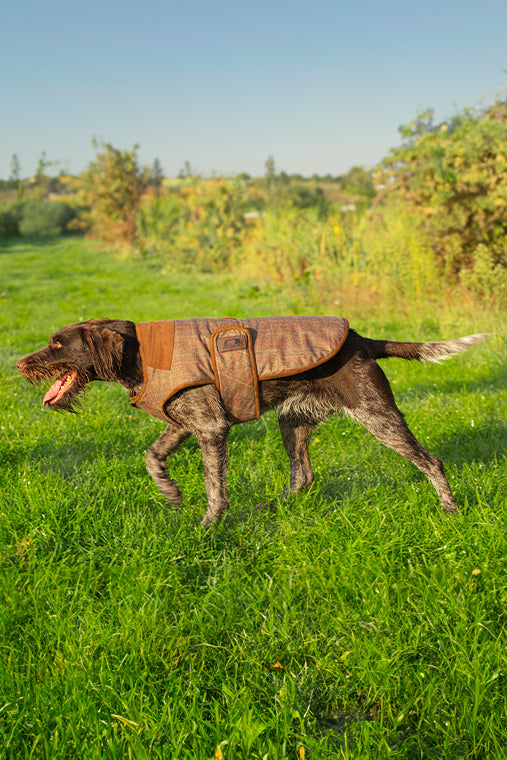 Bobby Printed Tweed Dog Gilet