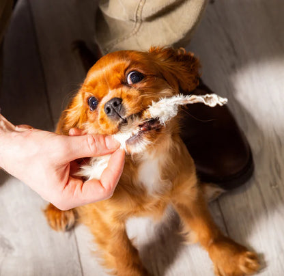 Hairy Rabbit Ears-Primal Chew Treat