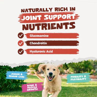 Beef Bone Broth Powder | 250g