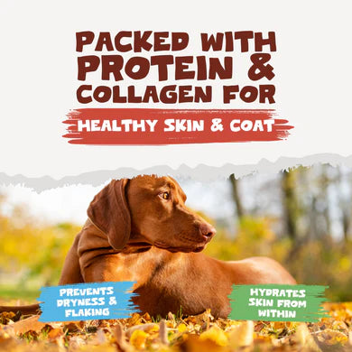 Beef Bone Broth Powder | 250g