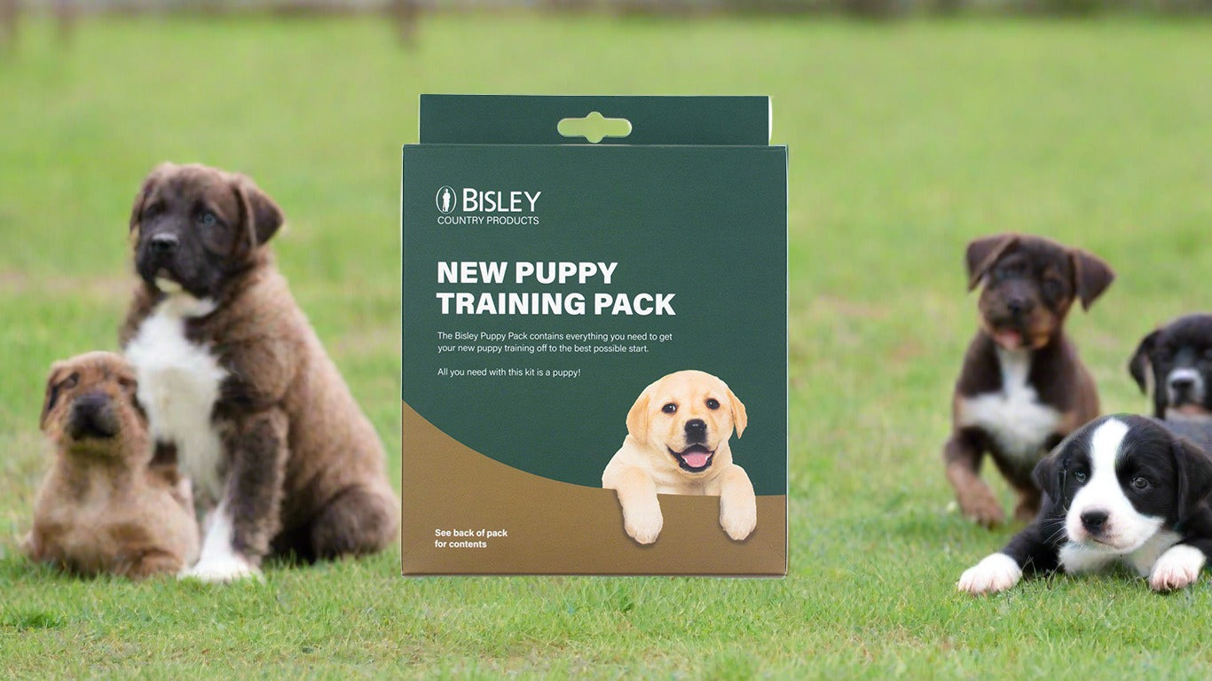 New Puppy Pack by Bisley The Gundog Catalogue