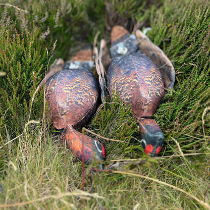 Grouse Dead Bird Dummy