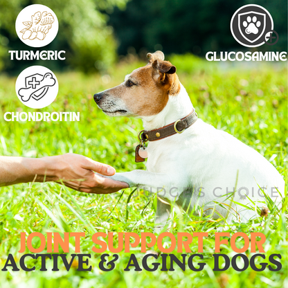 Country Pursuit Cold Pressed Chicken & Sweet Potato