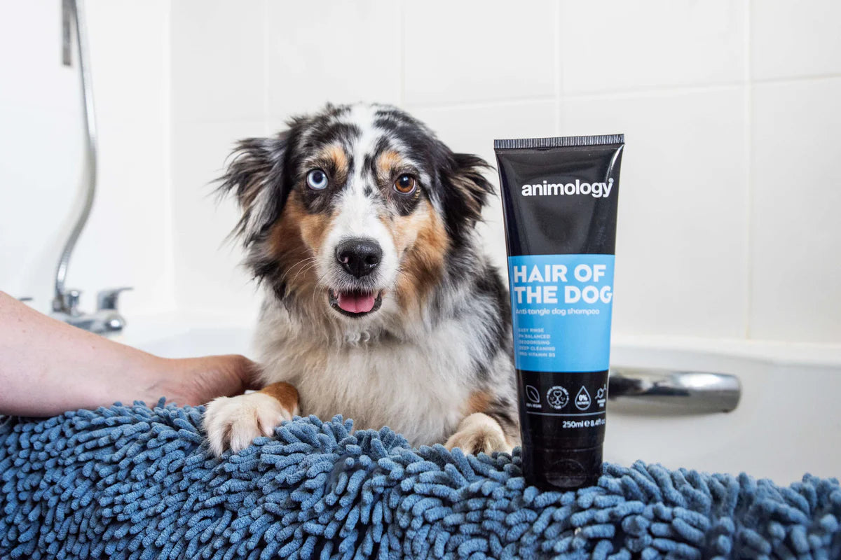Hair of the Dog Anti-Tangle Dog Shampoo 250ml