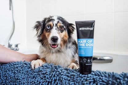 Hair of the Dog Anti-Tangle Dog Shampoo 250ml