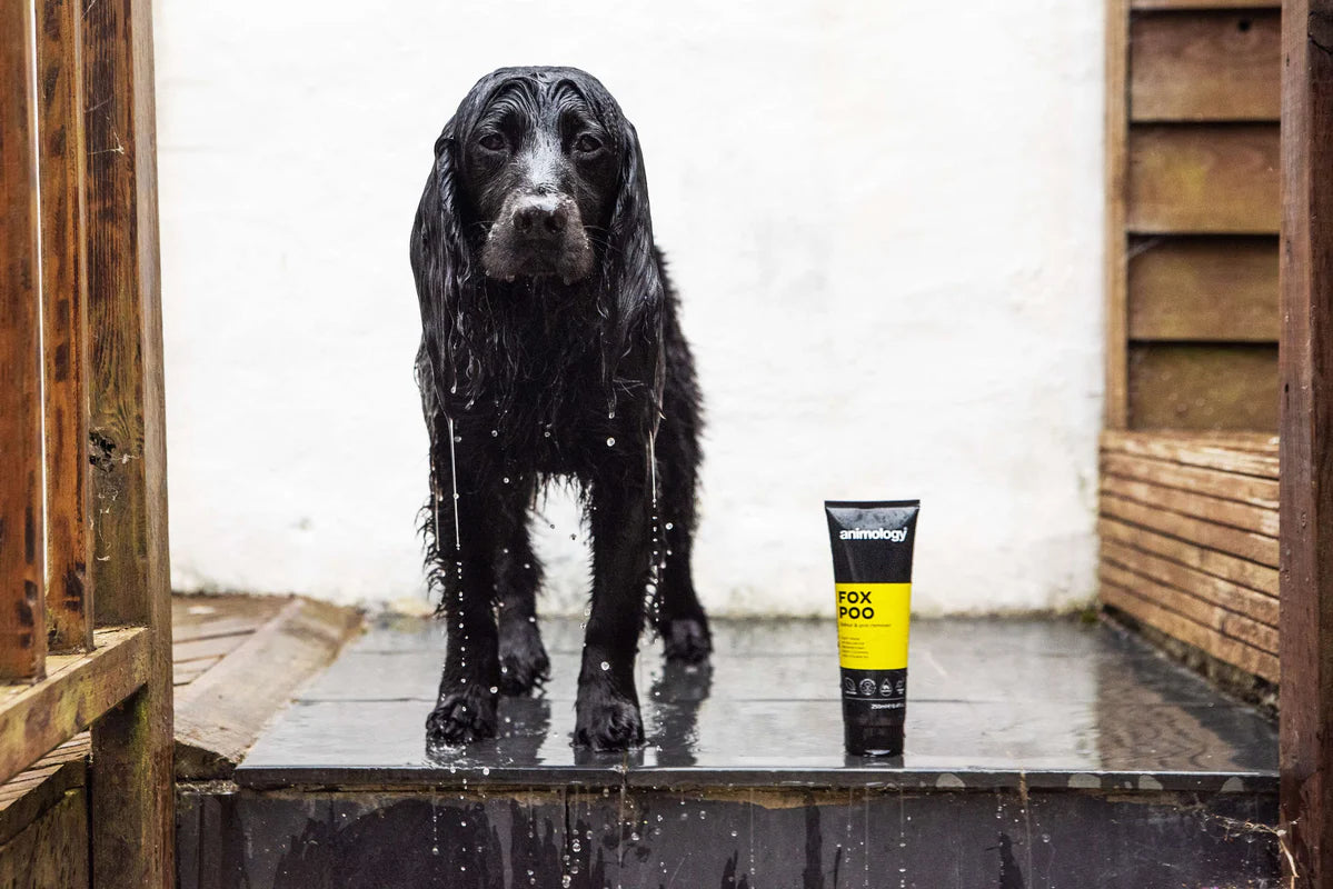 Fox Poo Dog Shampoo 250ml