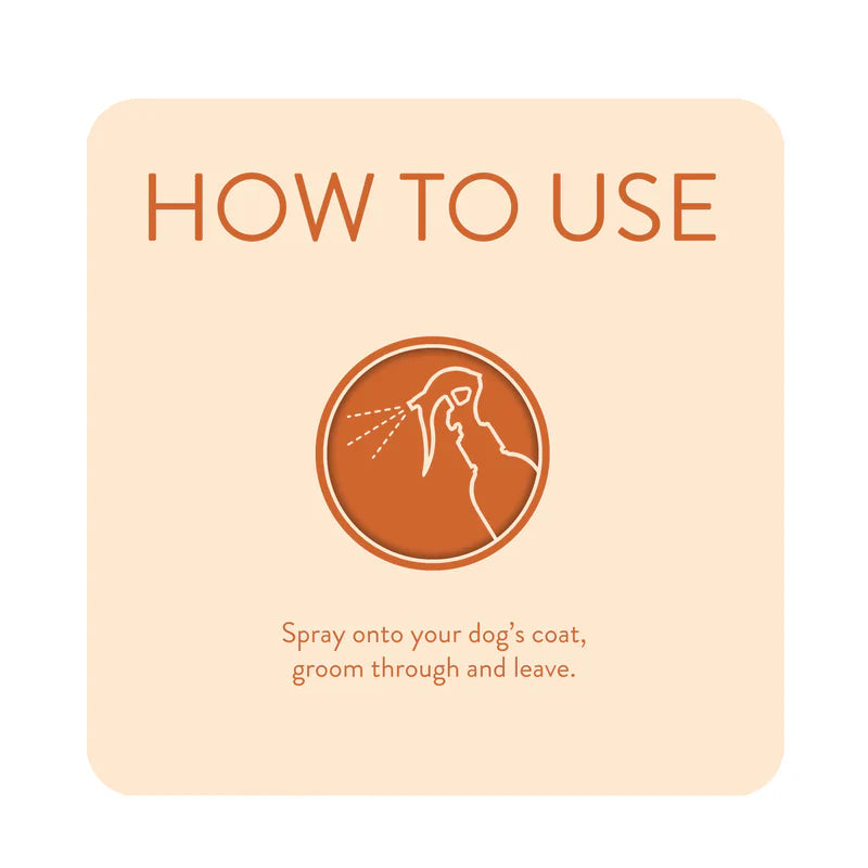 Spray Dirty Dawg No Rinse Shampoo 250ml by Animology