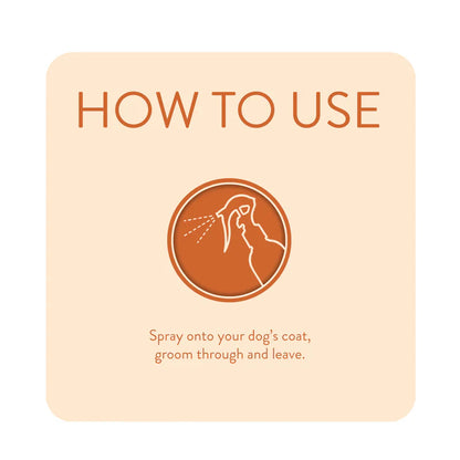 Spray Dirty Dawg No Rinse Shampoo 250ml by Animology