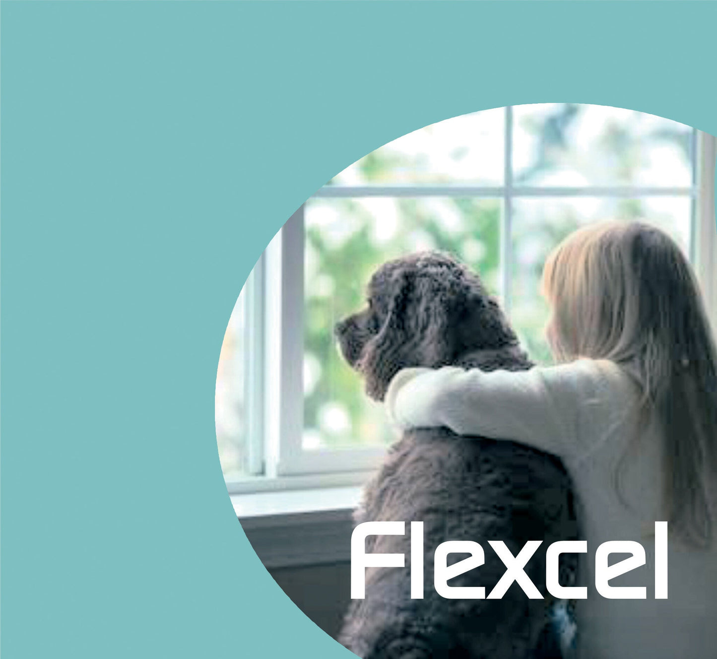 FlexCel CMO/Celadrin canine anti-inflammatory
