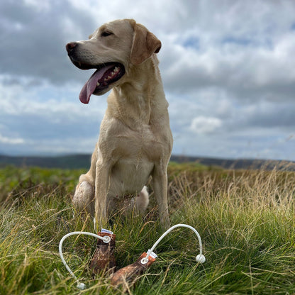 Grouse Dummy Ball