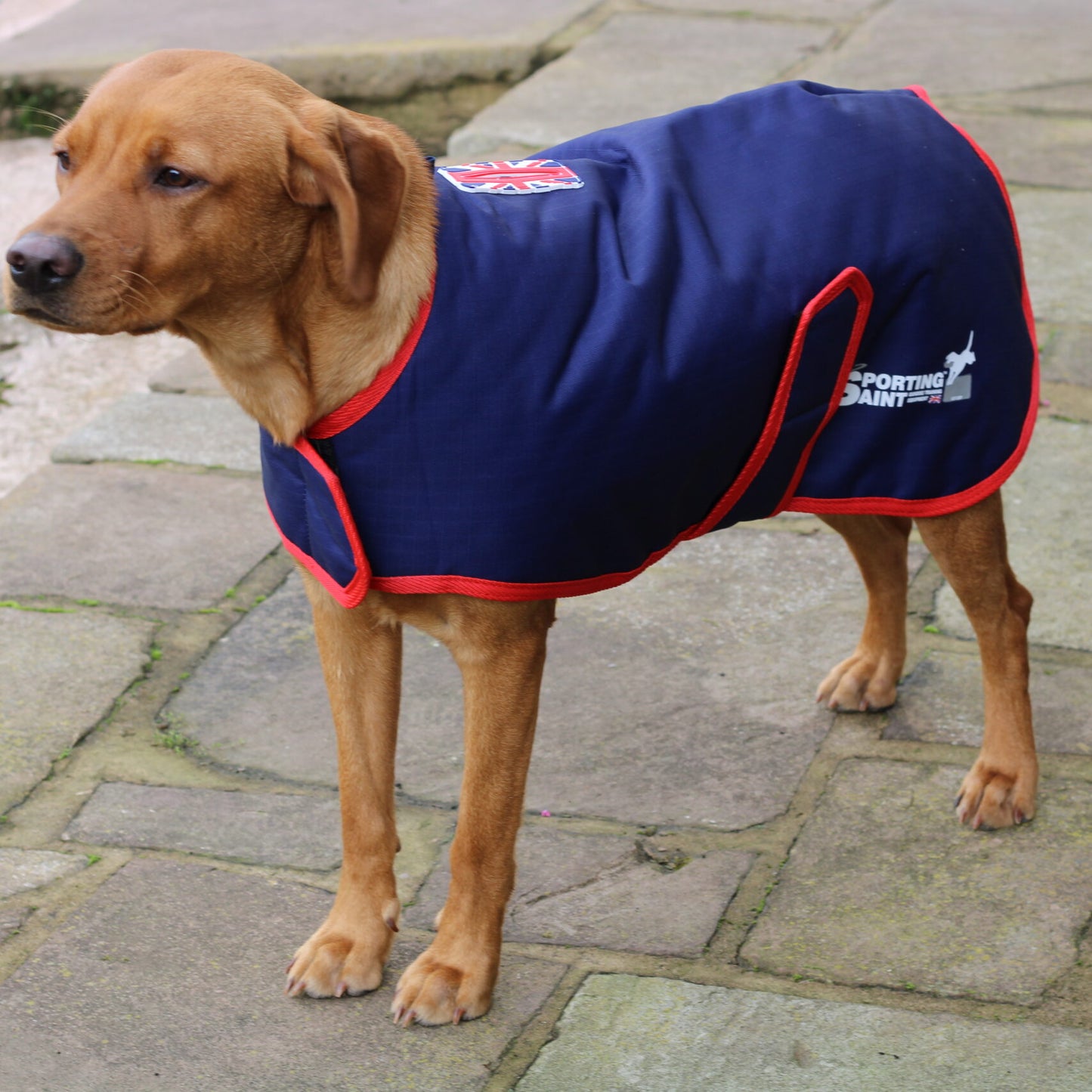 Field Trial Dog Coat - Waterproof & Warm.