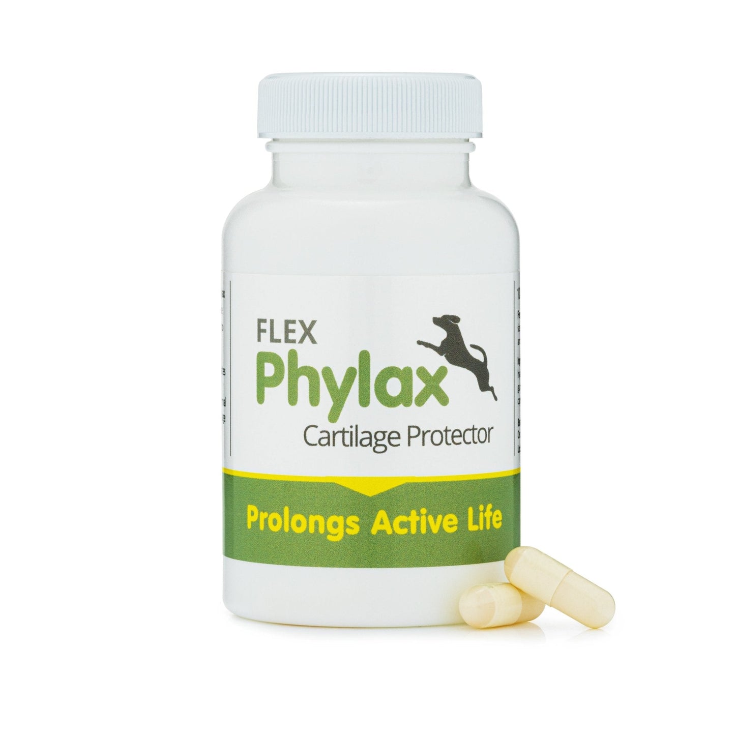 Phylax cartilage protector - 100 capsules - 3 months supply!