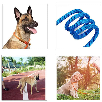 Dog Slip Lead-Woven Pro