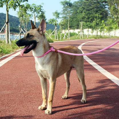 Dog Slip Lead-Woven Pro