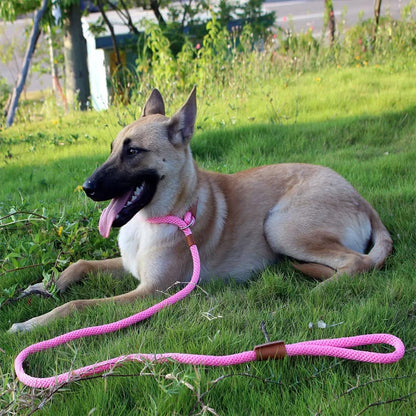 Dog Slip Lead-Woven Pro