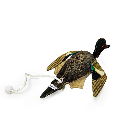 Teal Dead Bird Dummy