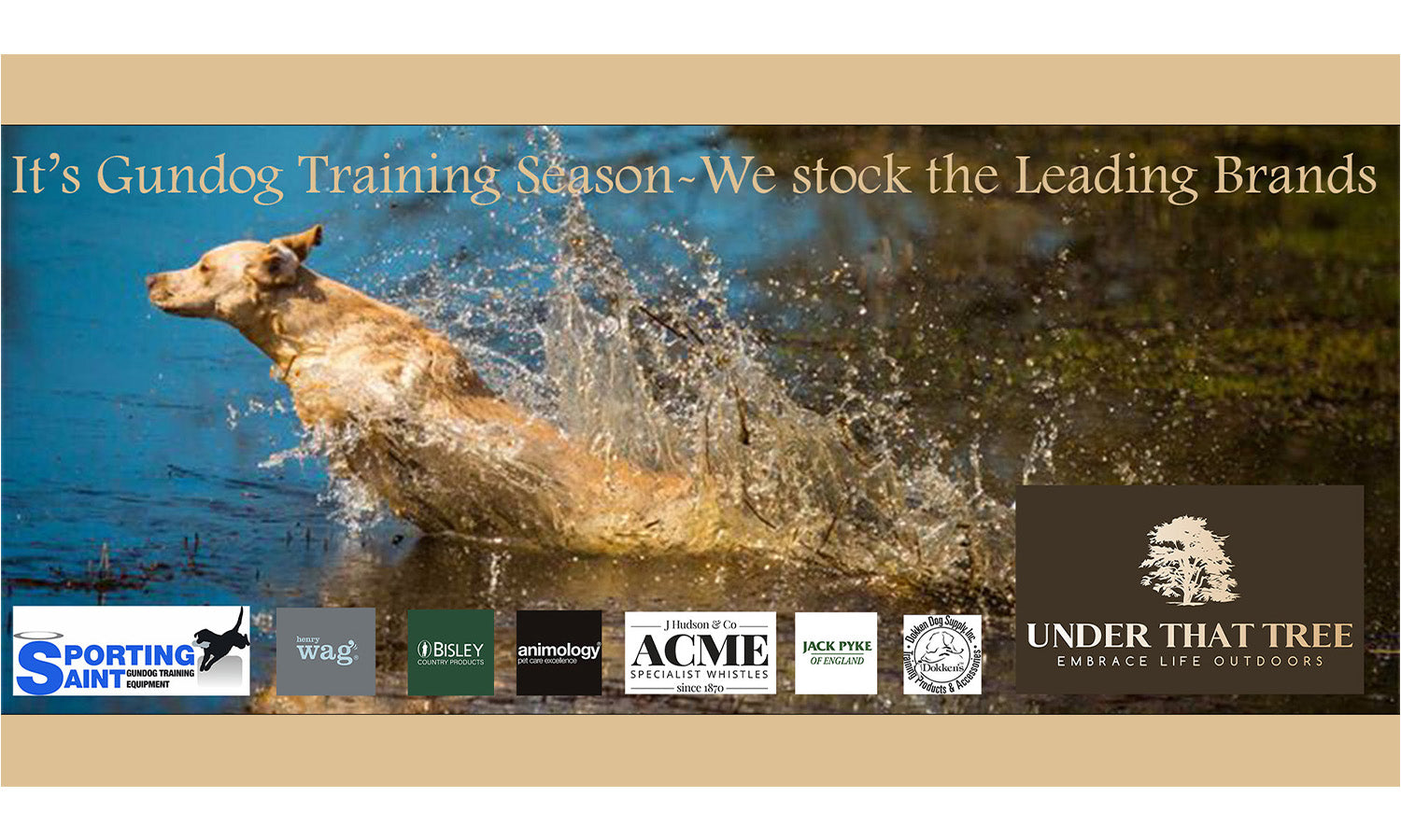 The Gundog Catalogue