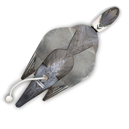 Wood Pigeon Dead Bird Dummy