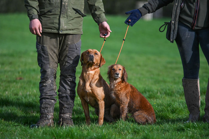 Field Trial PRO Heeling Lead