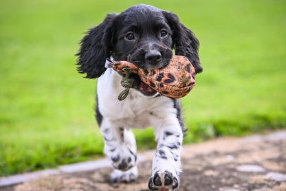 Dummy Ball