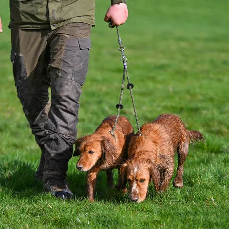 Brace Set - Slip Lead (2 Dogs).