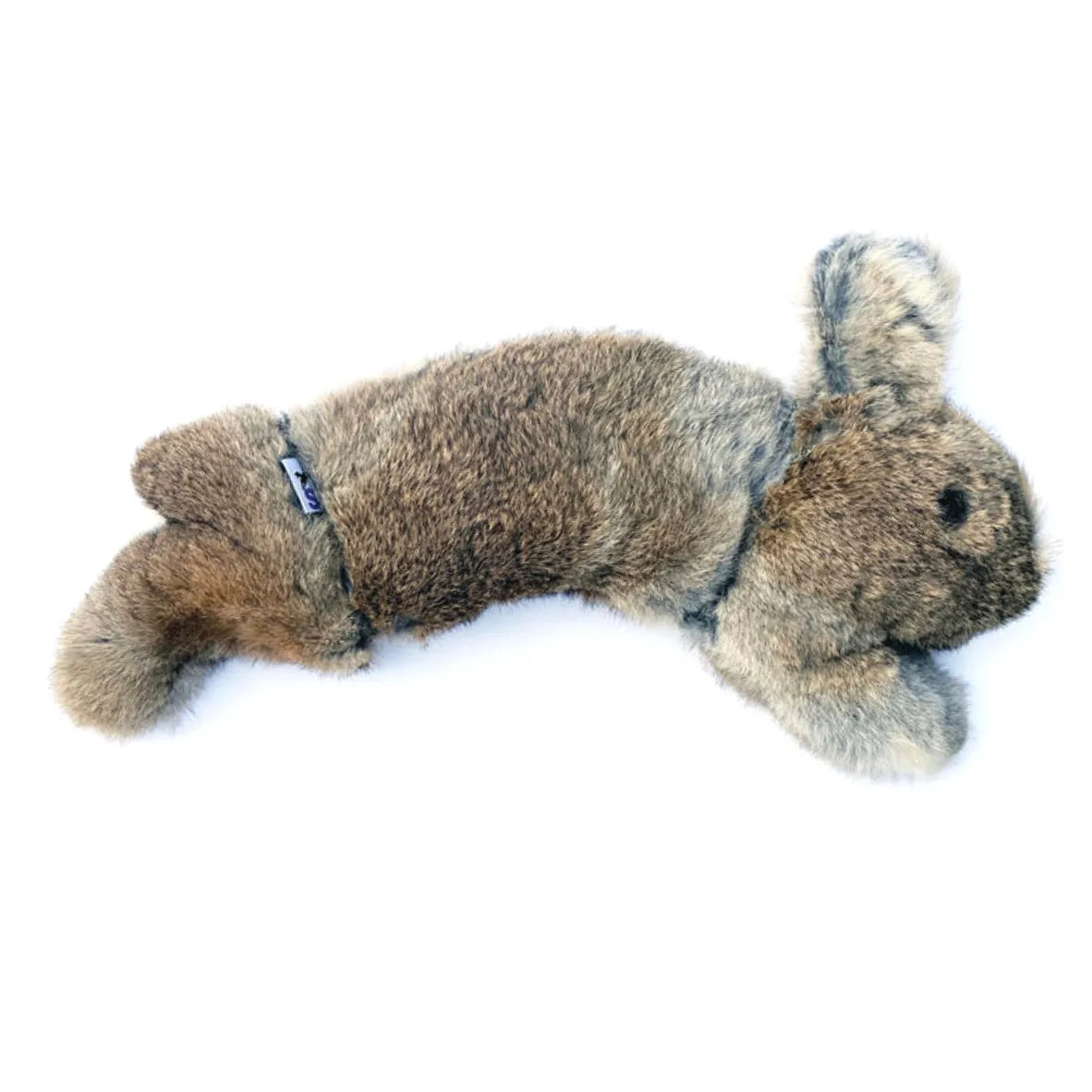 BG Rabbit By Ben Randall.