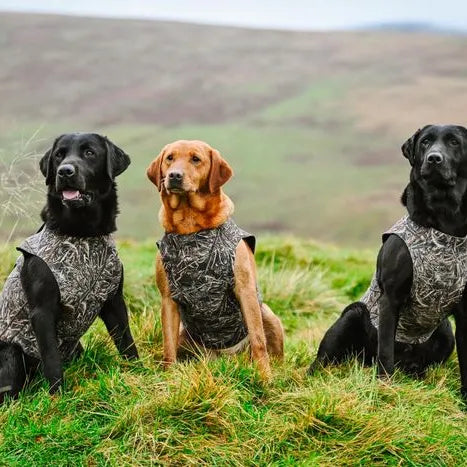 Neoprene Dog Vest.