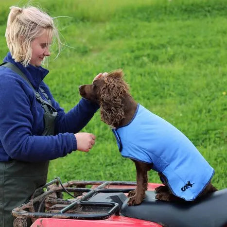 Cooling Dog Coat.